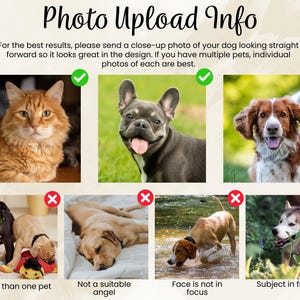 May include: Image with text "Photo Upload Info" and examples of pet photos. The text advises sending a close-up photo of a dog looking straight forward for best results. Examples include a cat, a French bulldog, and a dog.