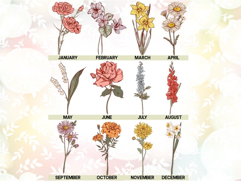 May include: A botanical illustration featuring twelve different flowers, each representing a month of the year. The flowers include carnations, violets, daffodils, daisies, lily of the valley, roses, delphiniums, gladiolus, asters, marigolds, chrysanthemums, and daffodils.