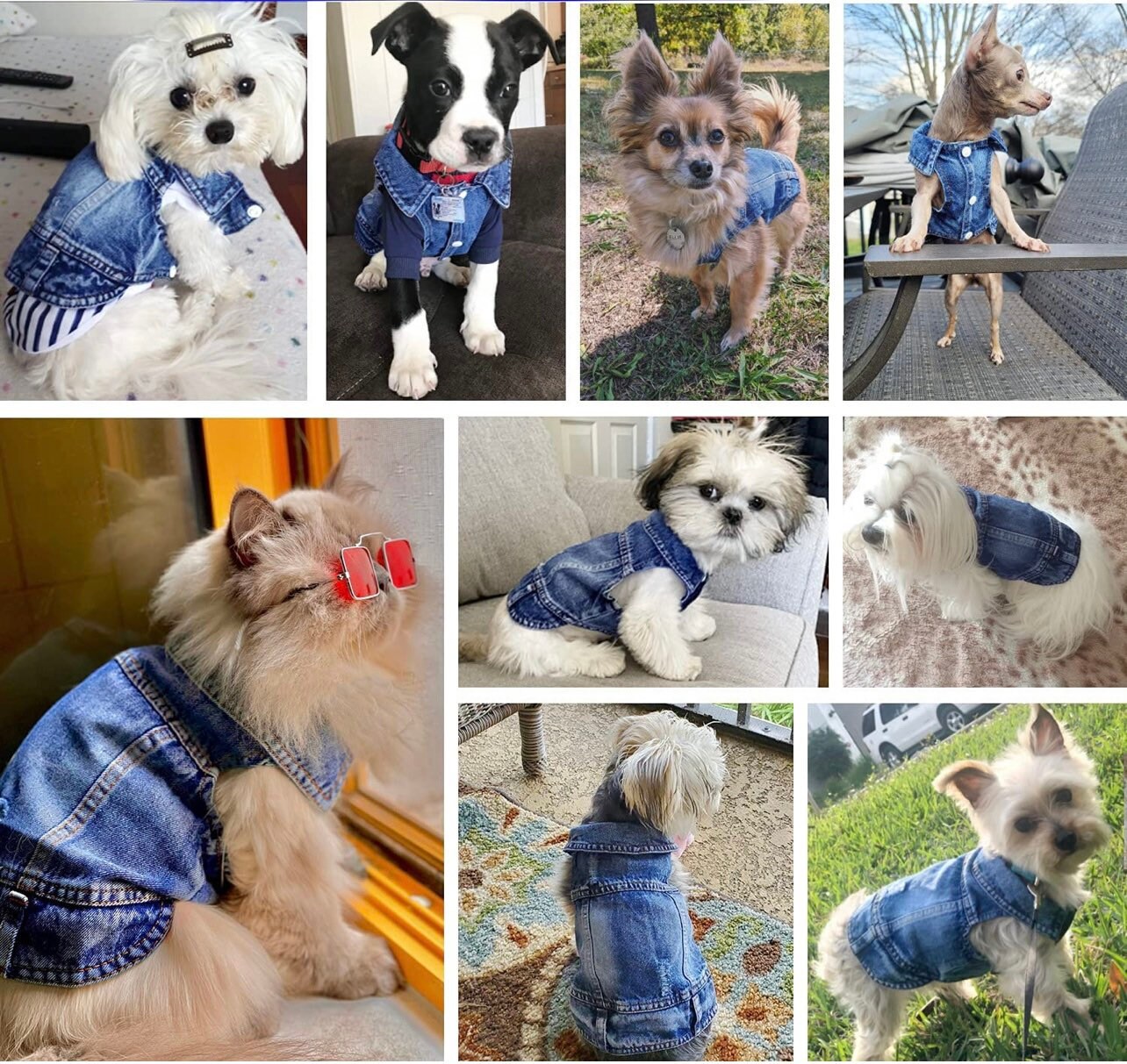 Dog/cat Denim Vest Etsy