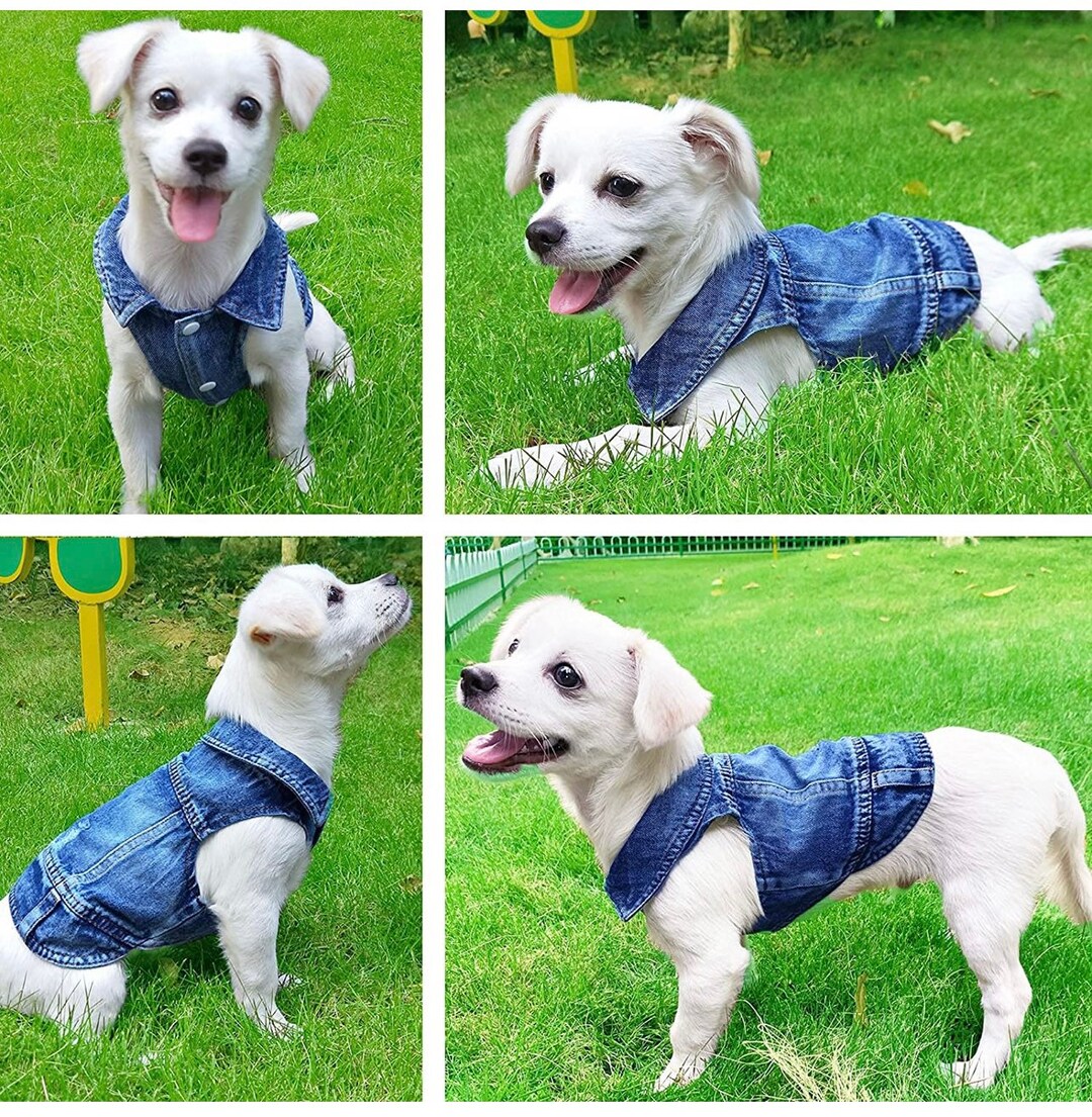 Dog/cat Denim Vest Etsy
