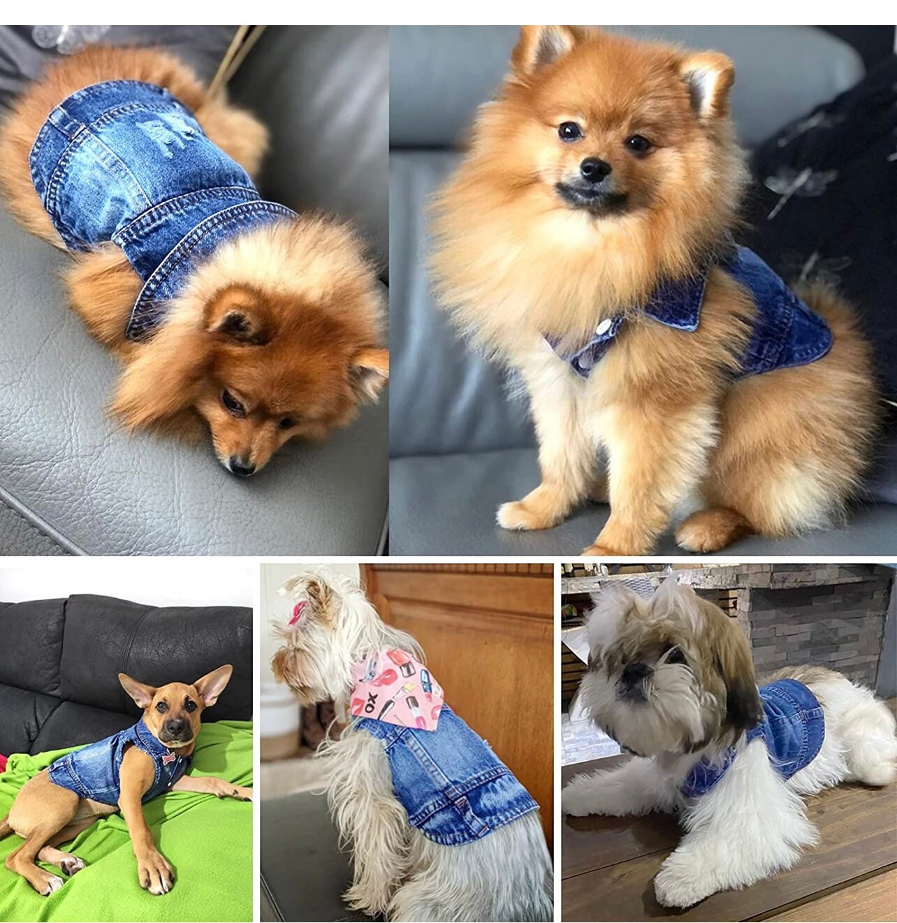 Dog/cat Denim Vest Etsy
