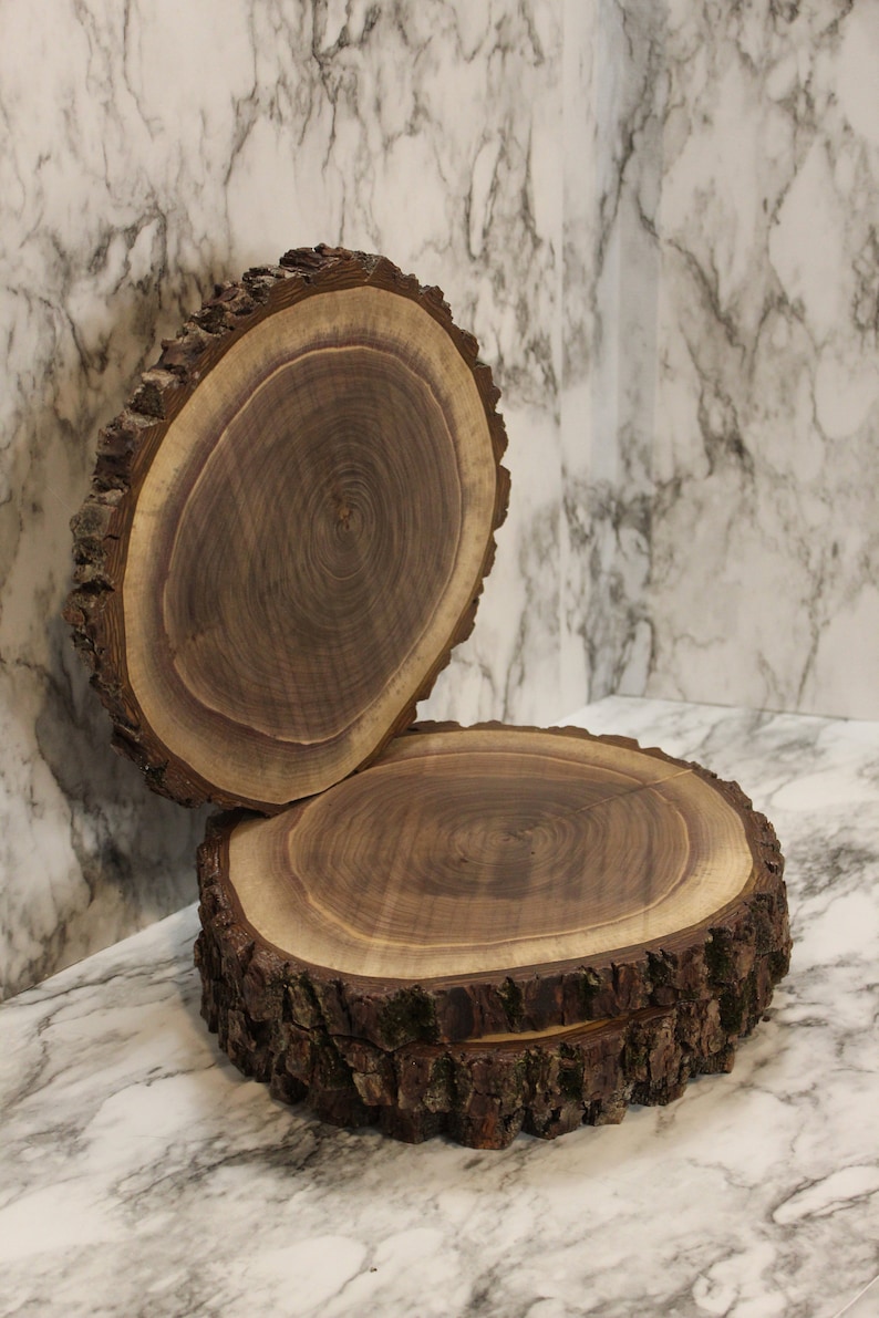 Walnut Wood Rounds Rustic Live Edge Wood Rounds Center Etsy