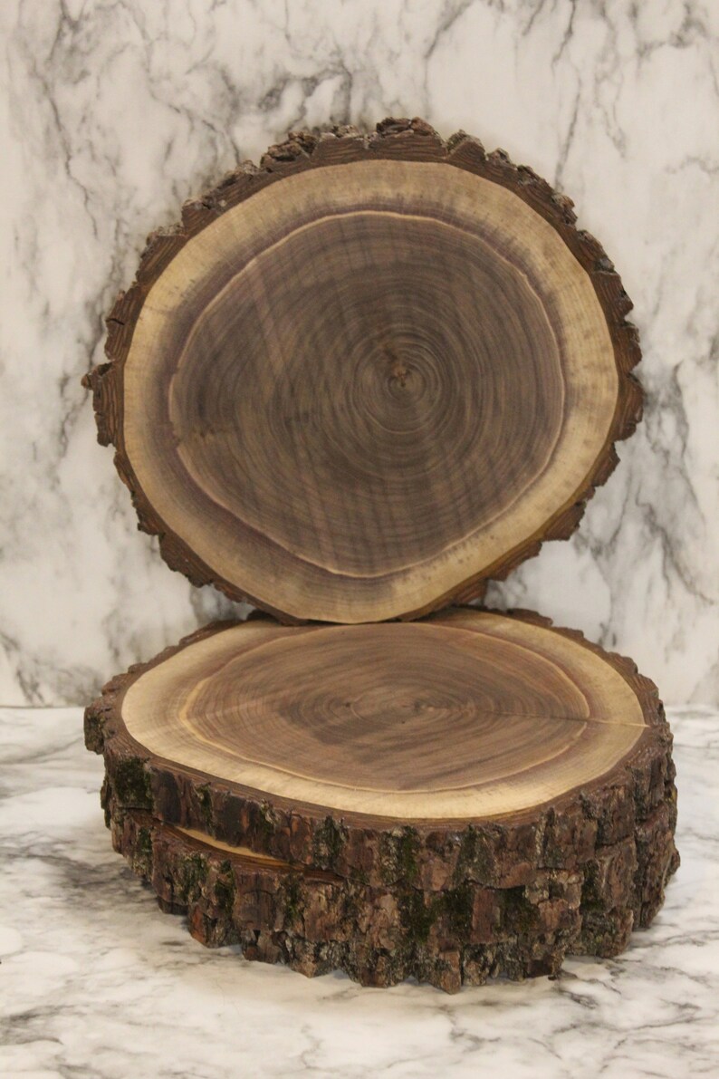 Walnut Wood Rounds Rustic Live Edge Wood Rounds Center Etsy