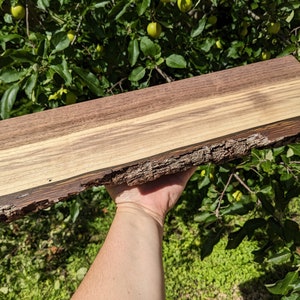 Rustic live edge floating shelves, Made in Iowa, USA, Handmade, INCLUDES HARDWARE, Free shipping