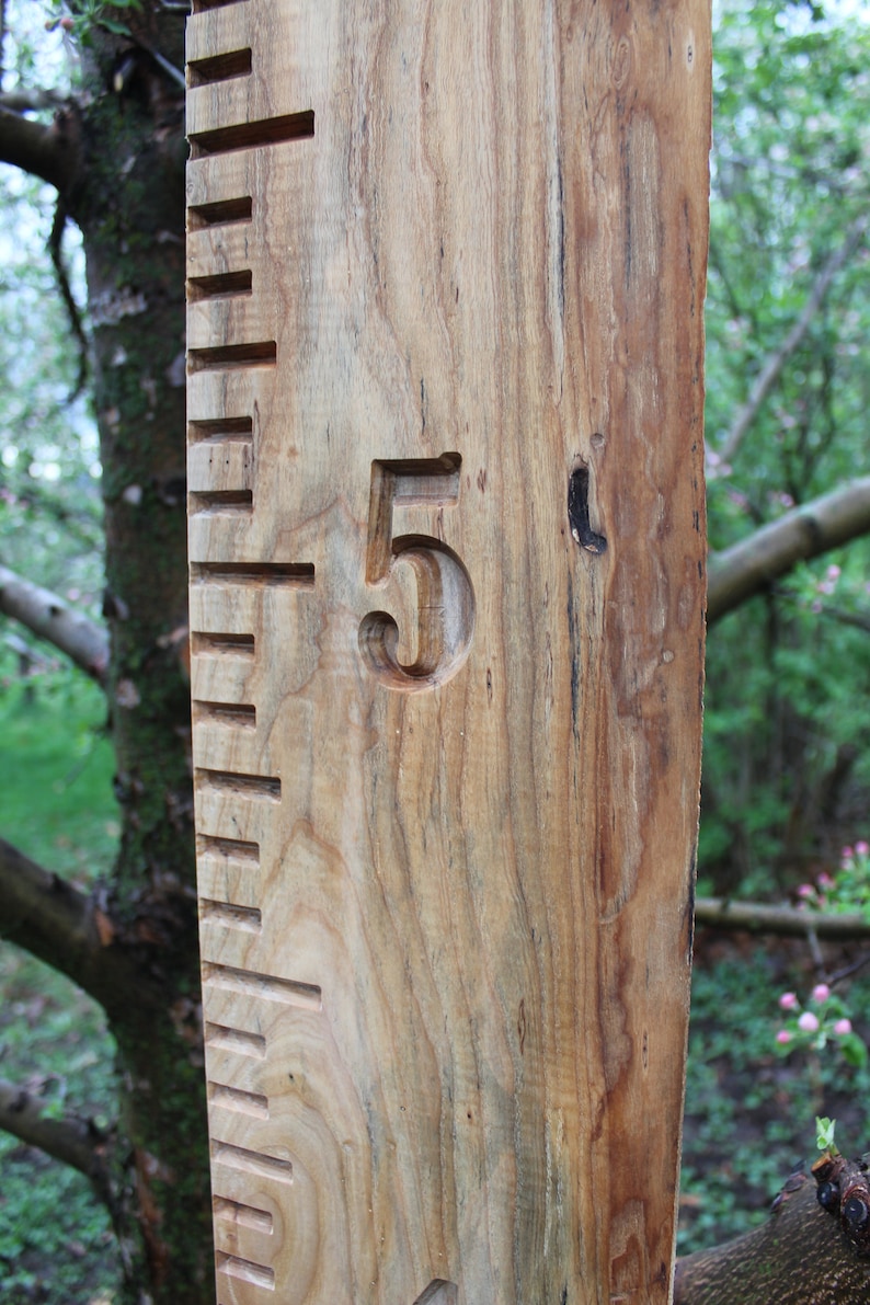 May include: A wooden growth chart with a carved number "5" on it. The chart is made of natural wood with a rustic finish.
