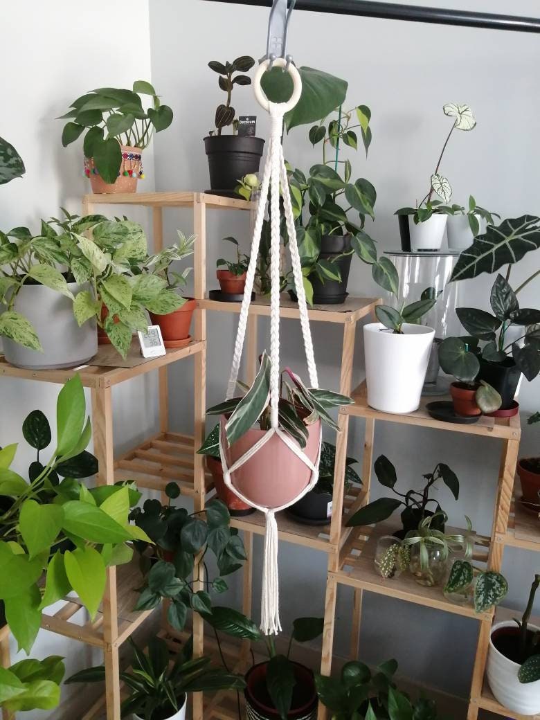 Suspension Macramé Pour Plantes Faite Main