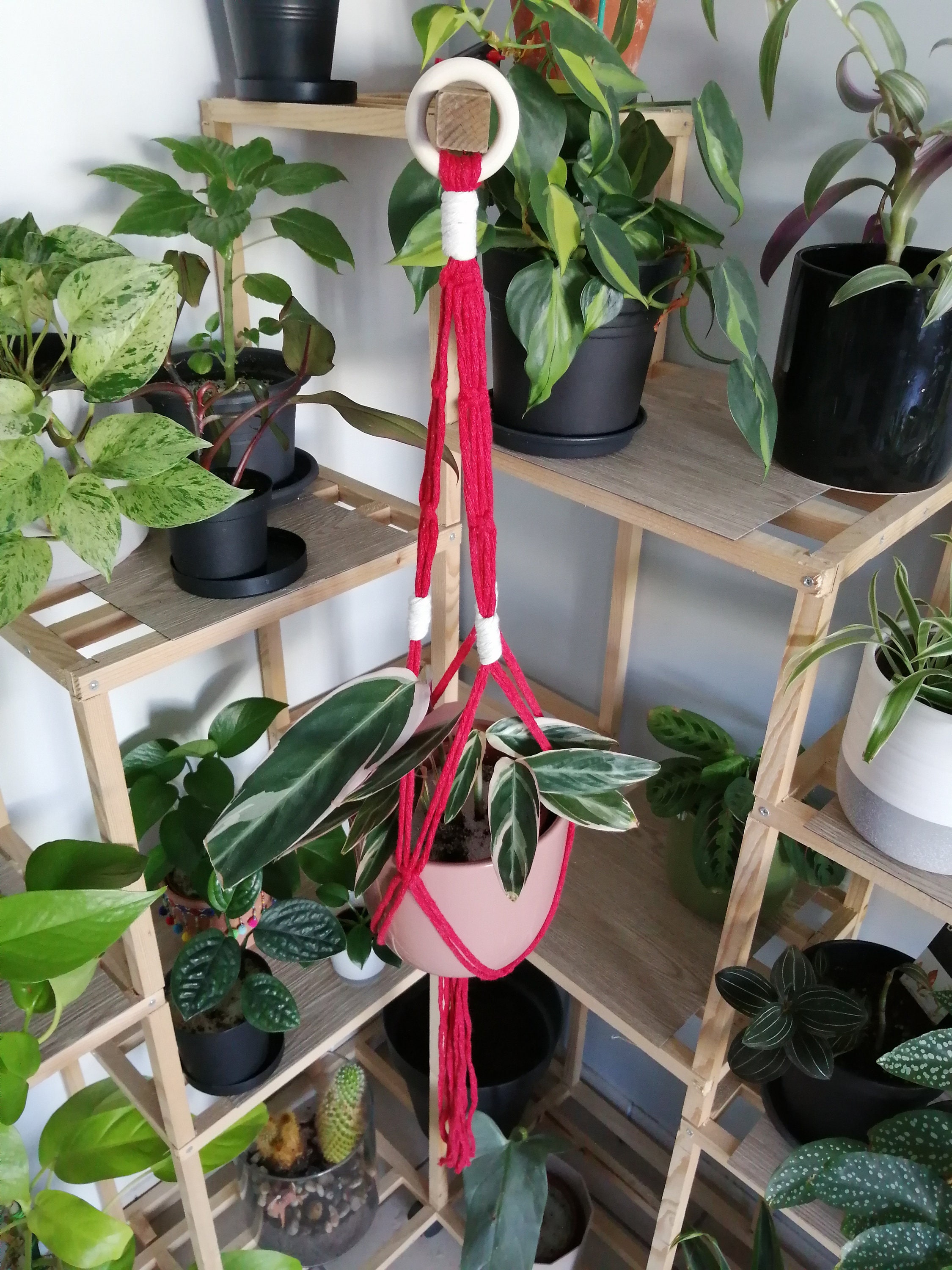 Suspension Macramé Pour Plantes Faite Main