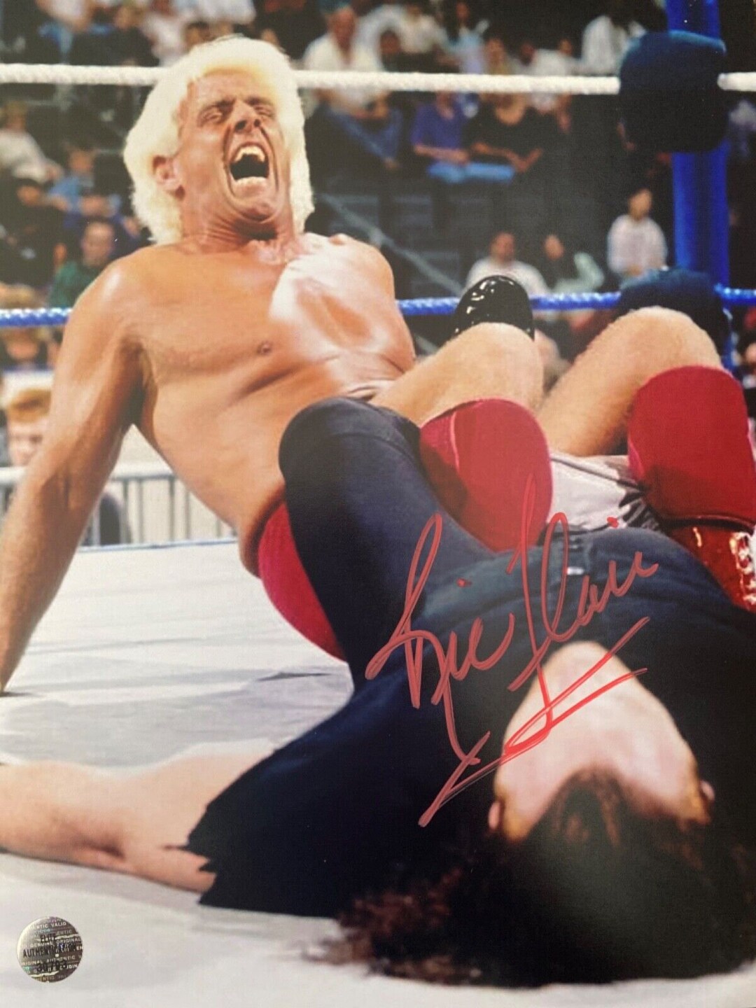 Ric Flair Autographed Signed 8X10 Photo WWE WWF COA - Etsy
