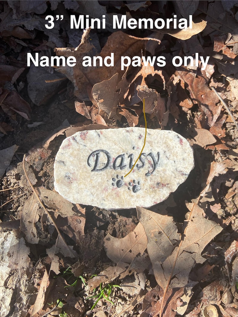 Puede incluir: Un peque&ntilde;o monumento de piedra marr&oacute;n claro con el nombre "Daisy" grabado en &eacute;l. La piedra tambi&eacute;n tiene dos huellas de patas grabadas. La piedra est&aacute; rodeada de hojas marrones.