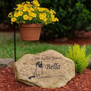 May include: A tan stone pet memorial with the text "The Ageless Beauty" and the name "Bella" with a cat silhouette. The dates 3/4/2006 to 1/12/2025 are also inscribed. A hanging pot of yellow flowers is suspended above.