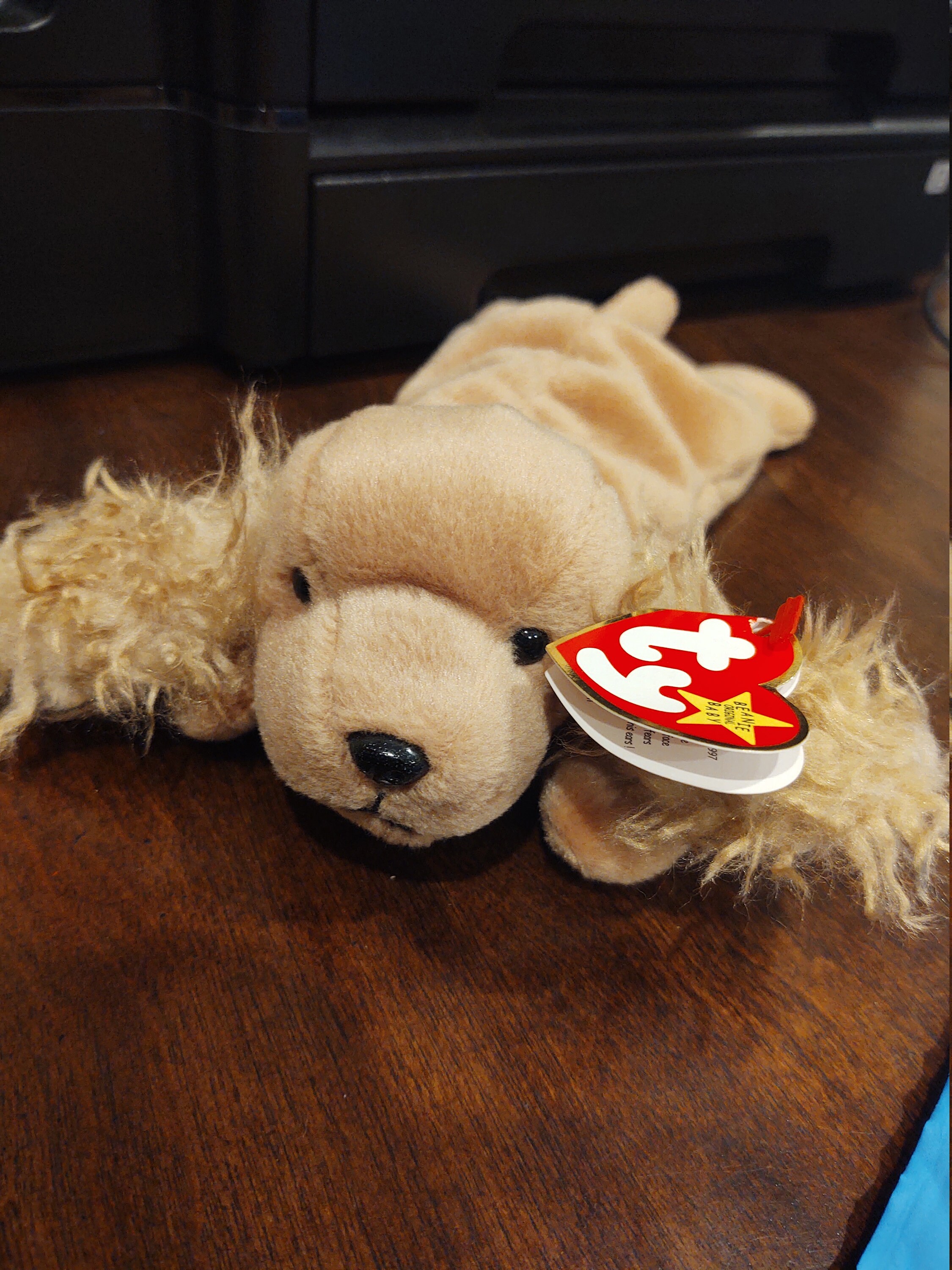 TY Beanie Baby SPUNKY Etsy