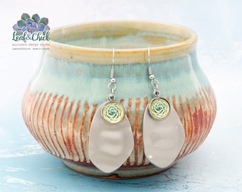 Modern oblong succulent art earrings | stylized Echeveria art with stainless steel hooks | wavy oval succulent jewelry | handmade in Canada