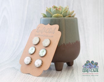 Stud earring set, white and soft greens stainless steel succulent art studs, art set under glass with complimentary glitters 3 pack earrings