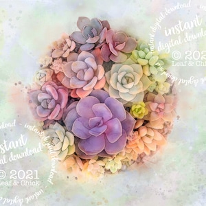 Watercolor Succulent Art Print: Dreamy Home Decor (Digital Download)