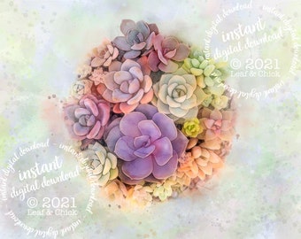 Watercolor Succulent Art Print: Dreamy Home Decor (Digital Download)