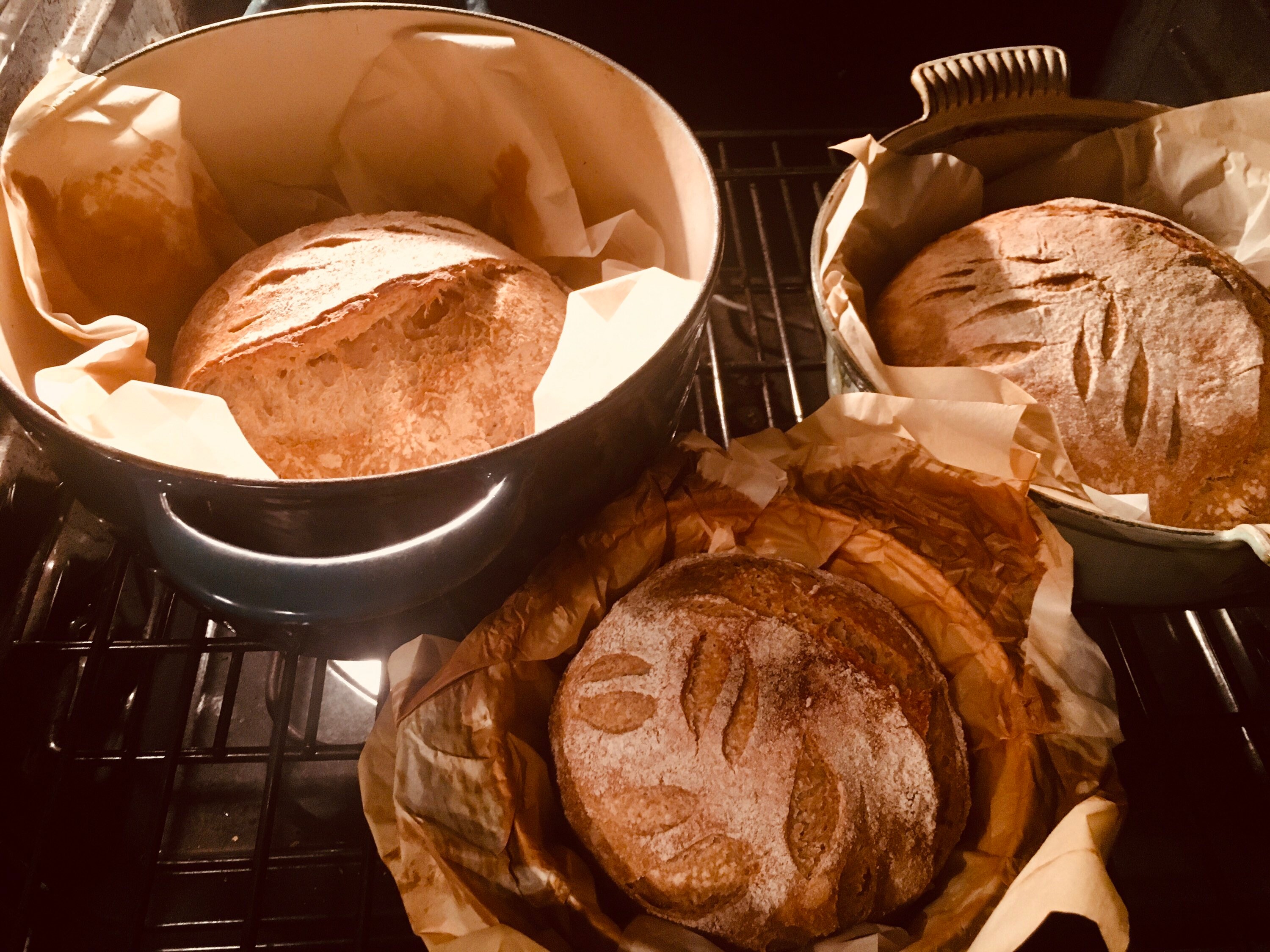 Whole Wheat Sourdough Starter Whole Wheat Whole Wheat Flour Etsy UK