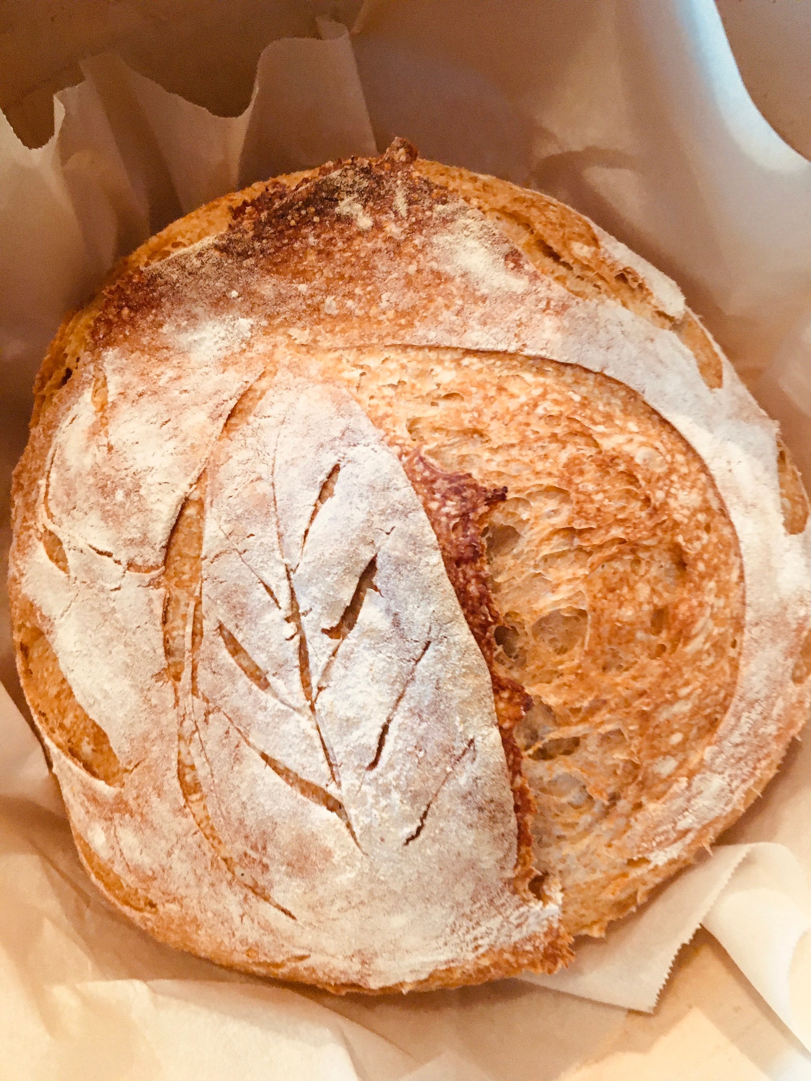 Sourdough San Francisco sourdough starters sourdough starter Etsy