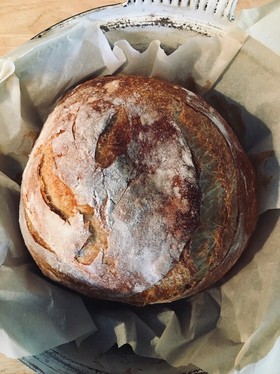 Einkorn Sourdough Starter Einkorn sourdough Einkorn flour Etsy