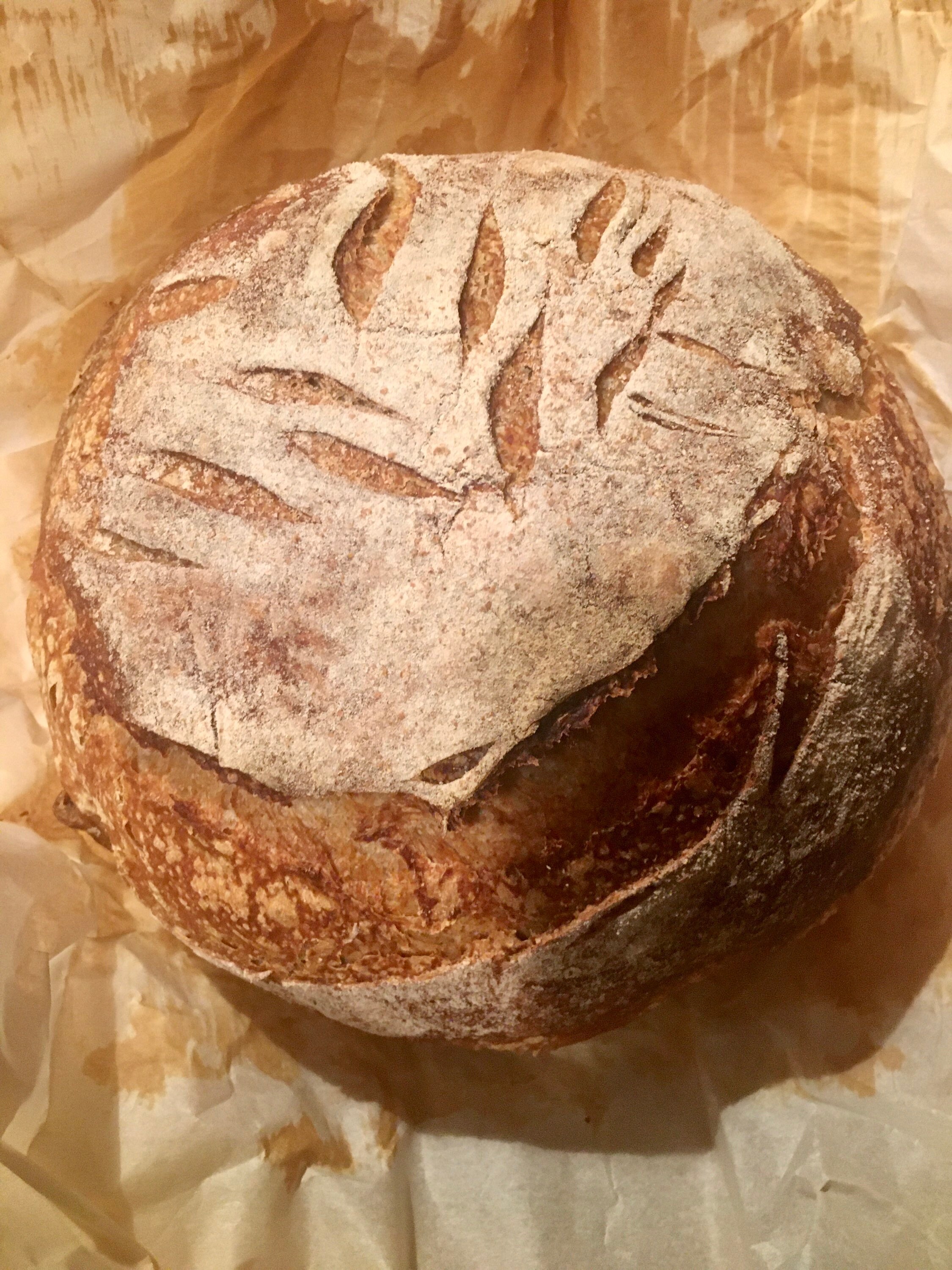 Whole Wheat Sourdough Starter Whole Wheat Whole Wheat Flour Etsy UK