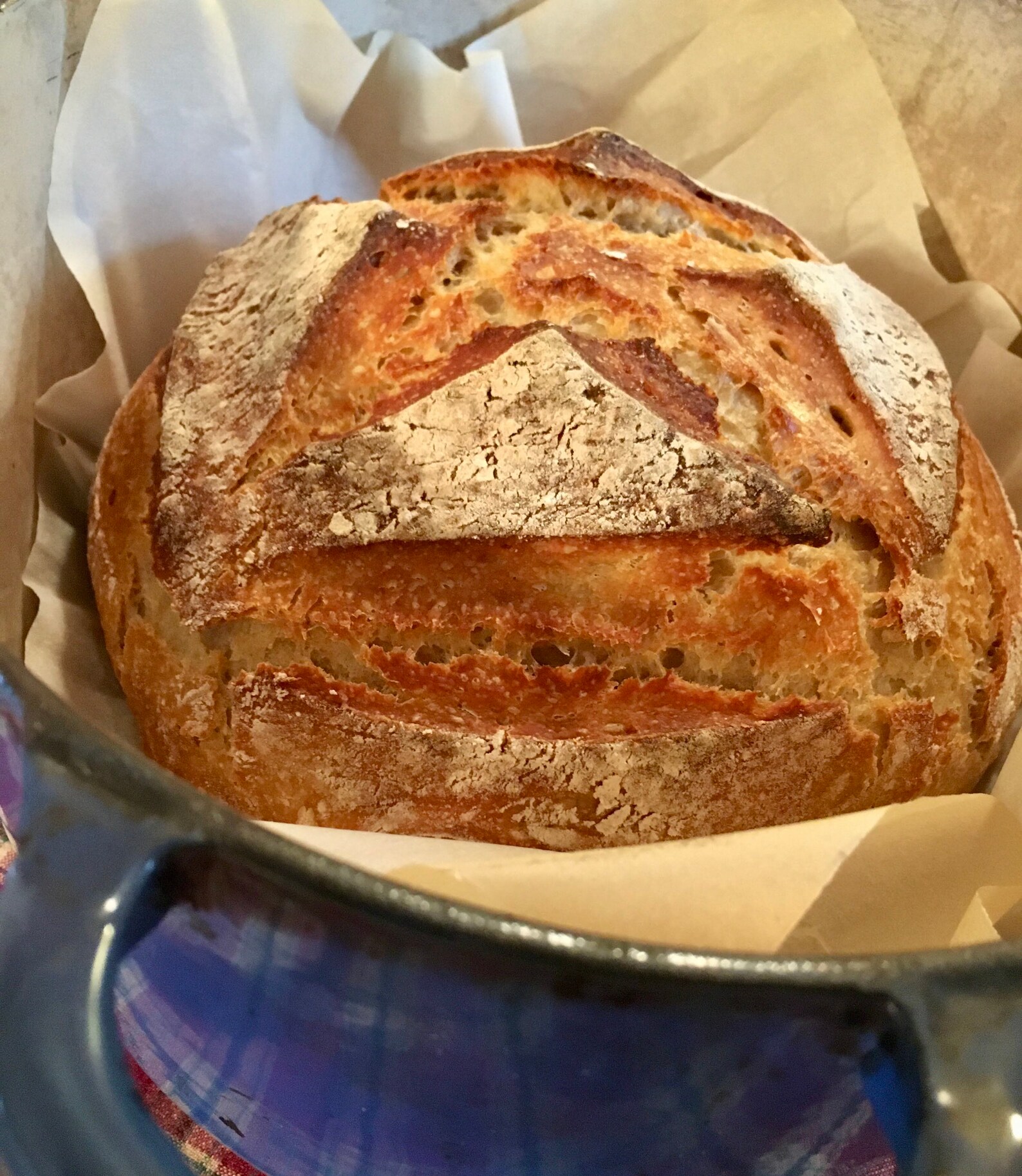 Einkorn Sourdough Starter Einkorn Sourdough Einkorn Flour Etsy