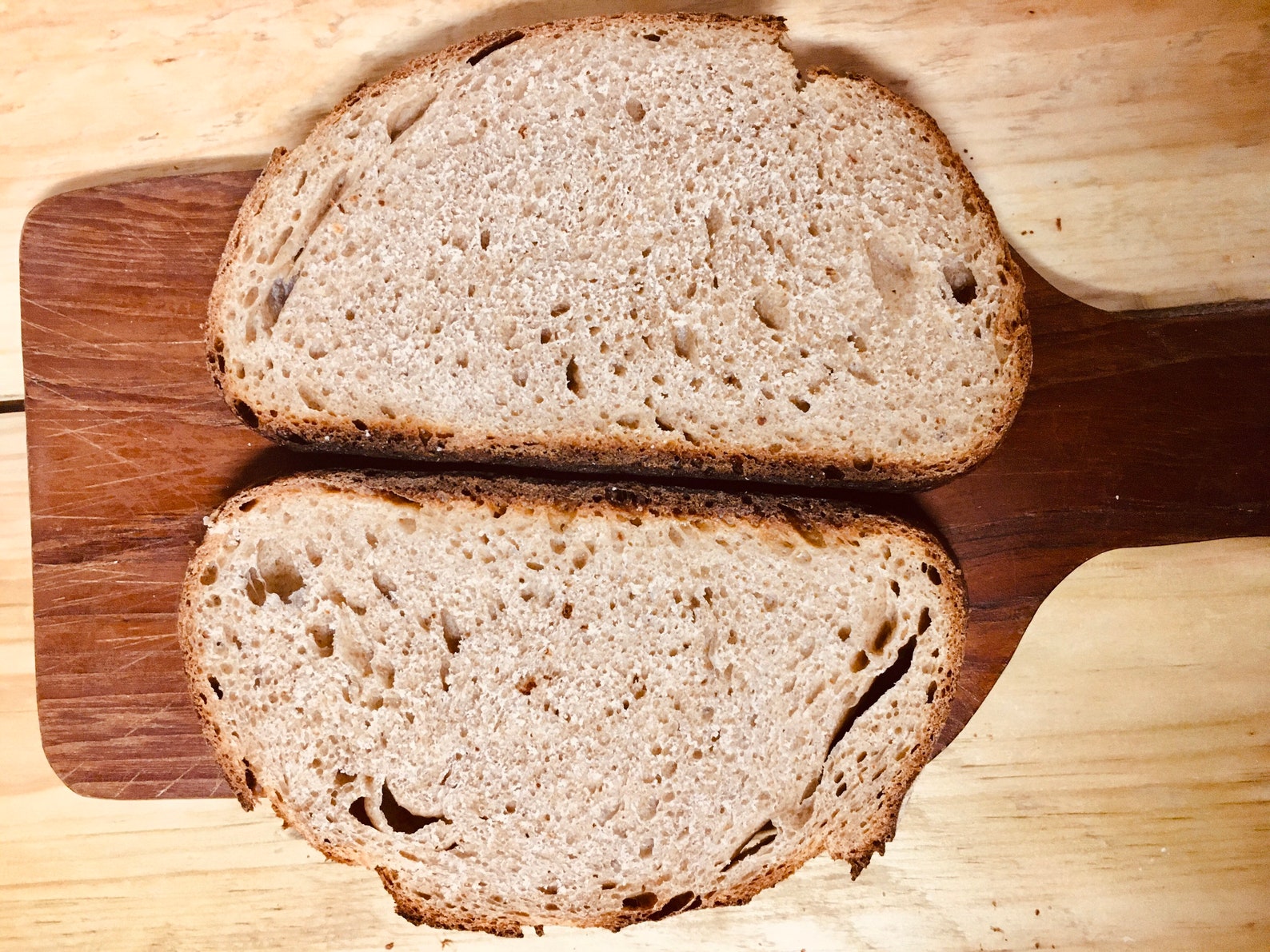 Whole Wheat Sourdough Starter Whole Wheat Whole Wheat Flour Etsy whole-wheat-sourdough-starter-whole-wheat-whole-wheat-flour-etsy