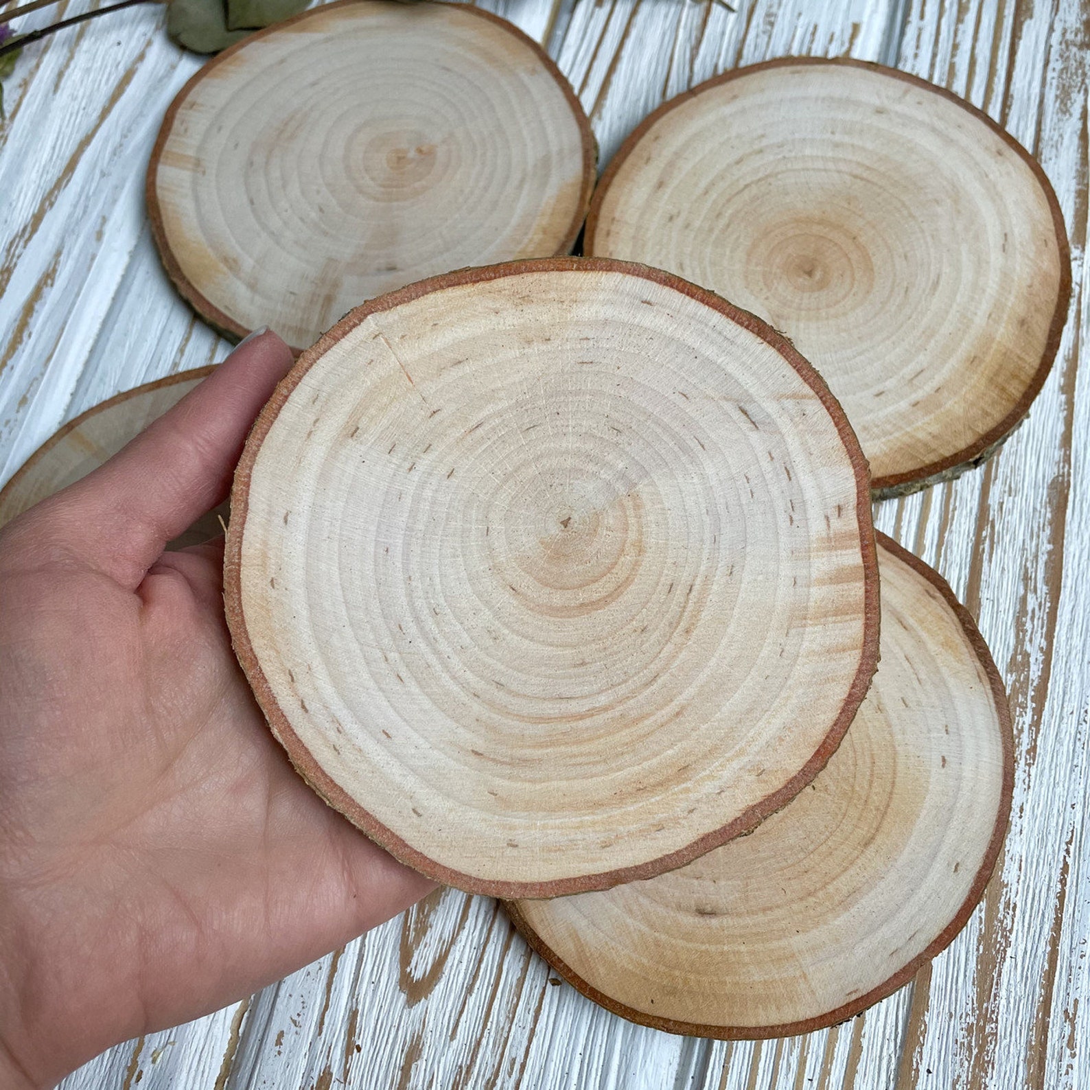 Round wood coaster Natural wood slices Coaster blanks rustic Etsy