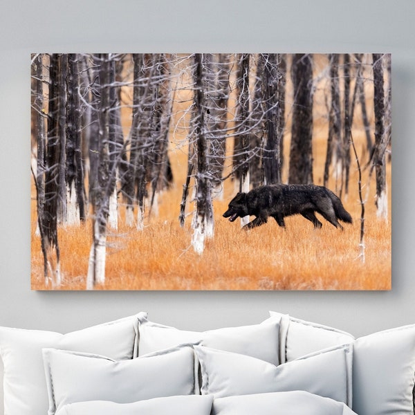 Yellowstone Grey Wolf Print, Nature Photography, Gray Wolves Art, Animal Prints, National Park Gifts, Cabin Décor, Wildlife Photography