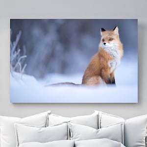 Alaskan Red Fox in Snow Print, Nature Photography, Animal Prints, Alaska Wildlife Nursery Décor, Mountain Cabin Wall Art, Fox Lover Gifts