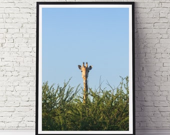 Wildlife Photography Giraffe Print - Africa Wildlife Wall Decor - Paper Prints or Ready to Hang Canvas and Metal
