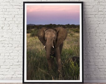 African Elephant Wildlife Print | Elephant Photography Art | Erindi Game Reserve Safari | Ready-to-Hang Options | Canvas Africa Photography