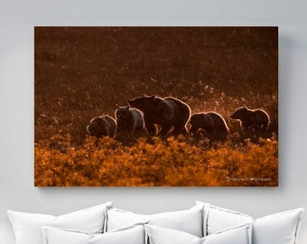 Grizzly Bear 399 and Cubs Photo: Grand Teton Wildlife Art Print