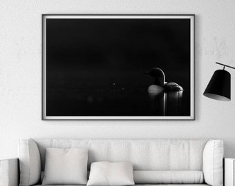 Common Loon Print Wildlife Photography Art - Photo Paper Prints, or Ready to Hang Canvas and Metal Decor