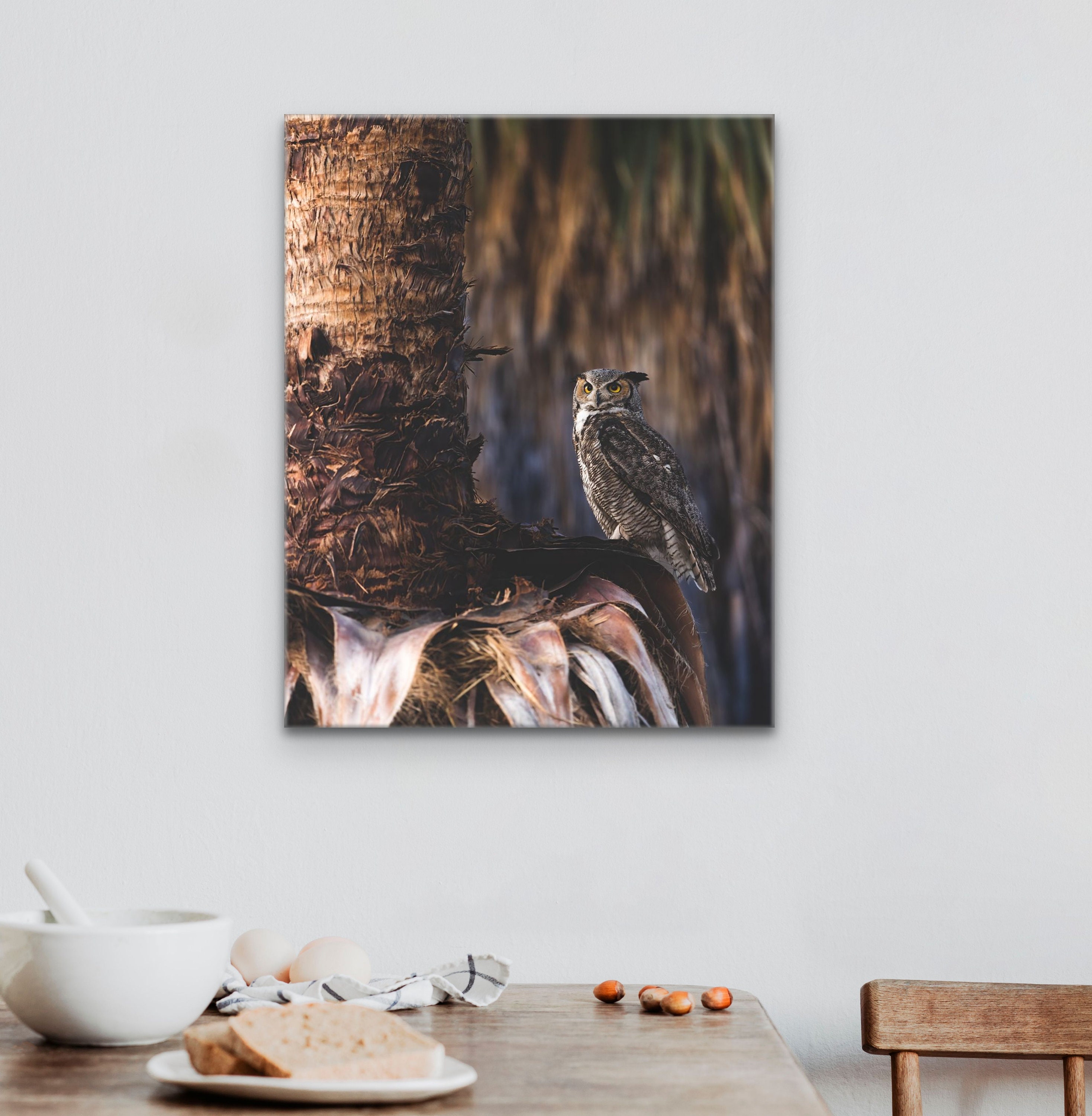 Great Horned Owl Print | Arizona Wildlife Photography, Wall Art - Etsy