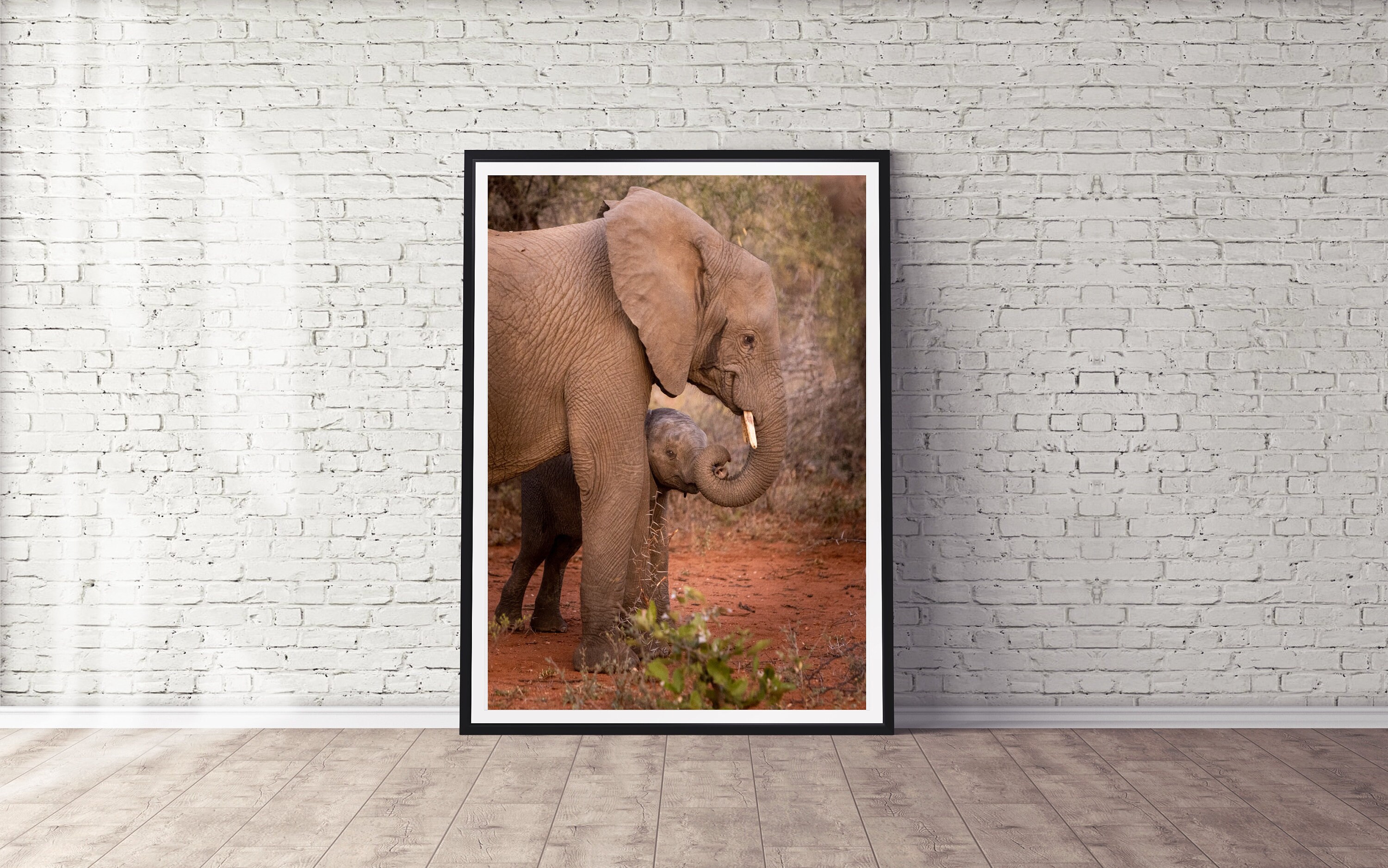 NATURE PHOTO PRINT, Wildlife Photography Art, Mother African Elephant ...