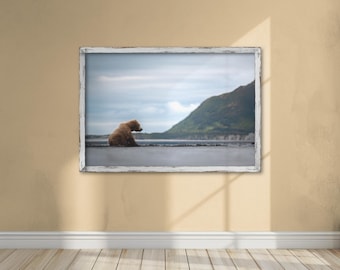 Coastal Alaska Brown Bear Photography Print: Katmai National Park Nature Decor