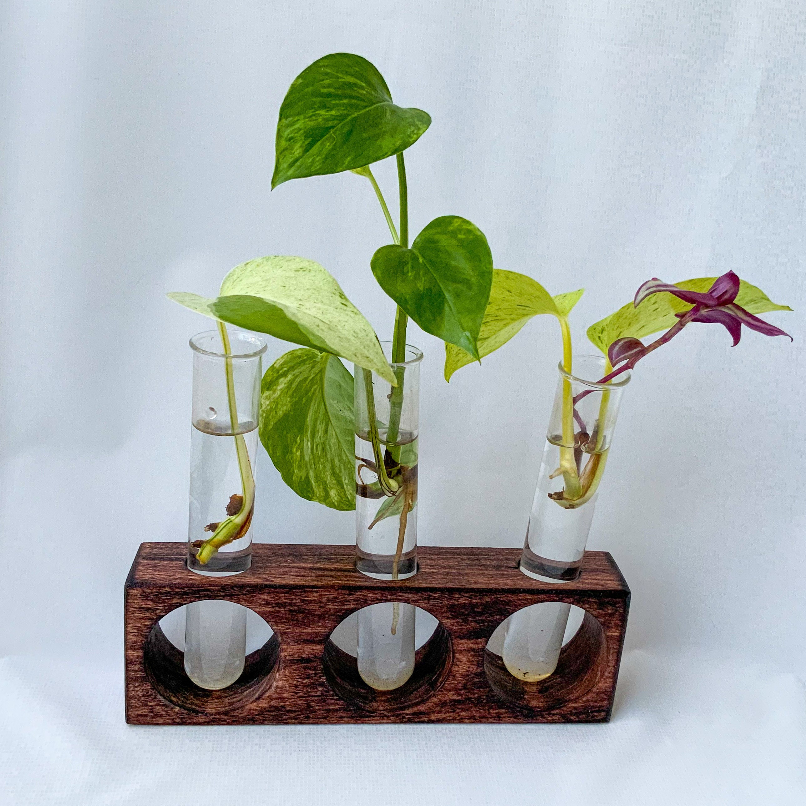 Desktop plant propagation station Wooden resin plant stand Etsy