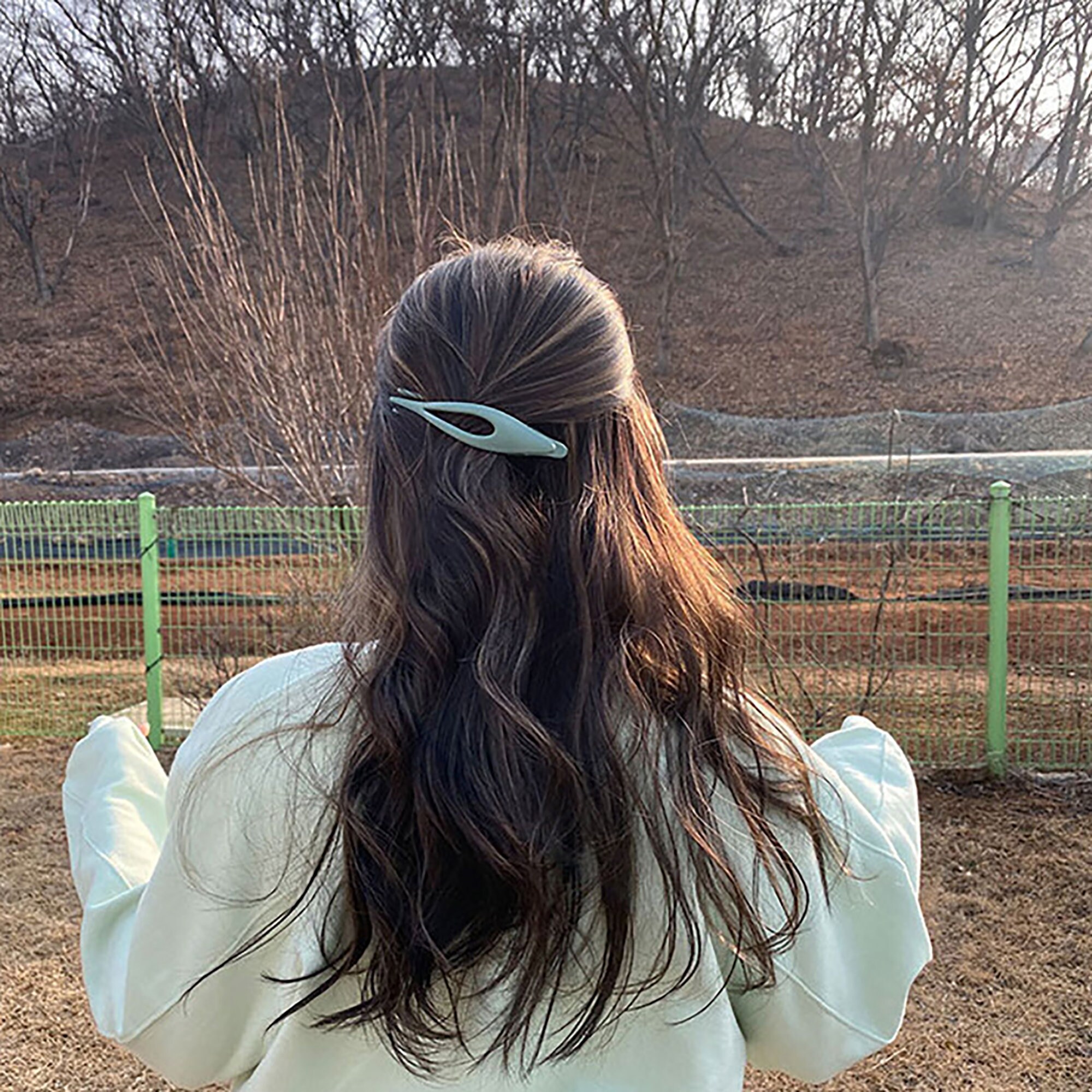 Large Alligator Hair Clips Durable NonSlip Duckbill Acrylic Etsy