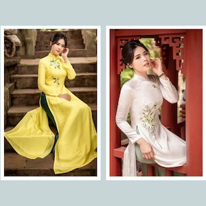 Embroidered Ao dai - Vietnamese traditional dress for women, female