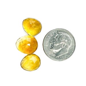 Three yellow citrine gemstone cabochons size 11 to 12 mm.  Rose cut cabochon stones seen next to a dime for size reference.