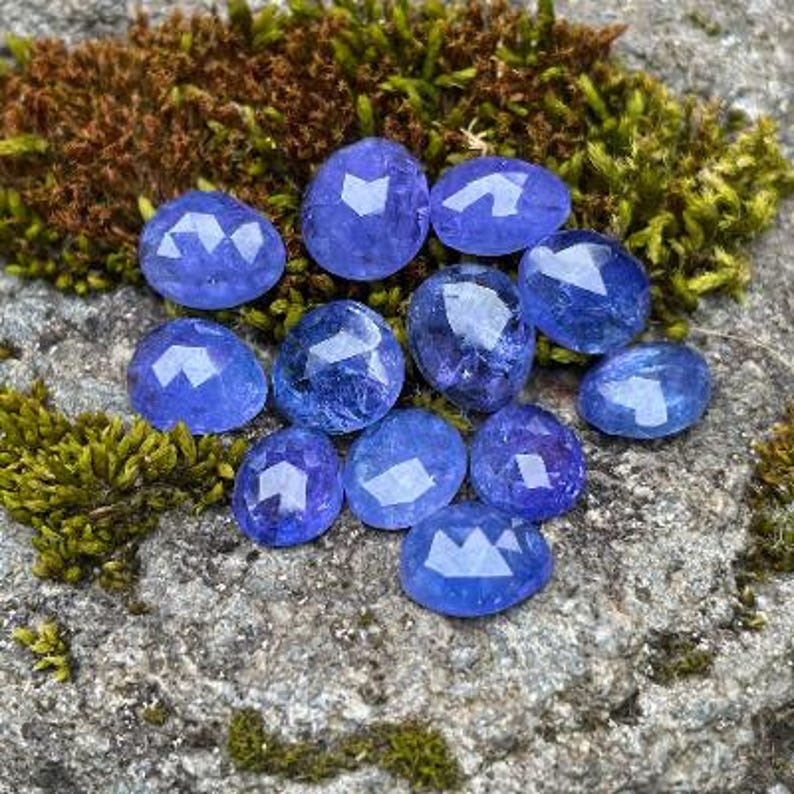Twelve blue tanzanite gemstone cabochons.  Rose cut cabochon stones of varying sizes picture on a gray rock with moss.