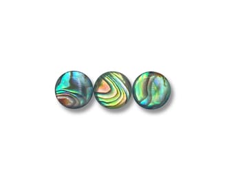 Paua Abalone Shell Rims Satin: Small 1/4 Lb (565Z-TPSRS-AS) - Etsy