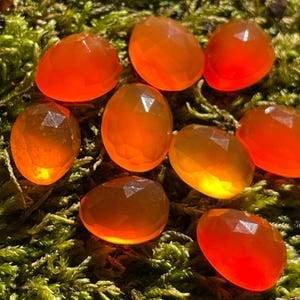 Multiple red carnelian gemstone cabochons seen on a background of green moss.  Rose cut cabochon stones are picture in shades of red-orange.