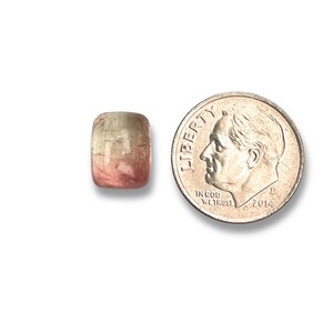 Bicolor tourmaline cabochon stone.  Smooth cut gemstone cabochon size 10.4 x 8.1 mm pictured next to a dime for size reference.