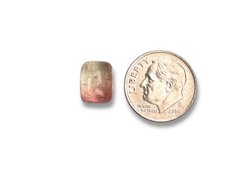 Bicolor tourmaline cabochon stone.  Smooth cut gemstone cabochon size 10.4 x 8.1 mm pictured next to a dime for size reference.