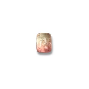 Bicolor tourmaline gemstone cabochon.  Smooth cut cabochon stone size 10.4 x 8.1 mm seen from the top.
