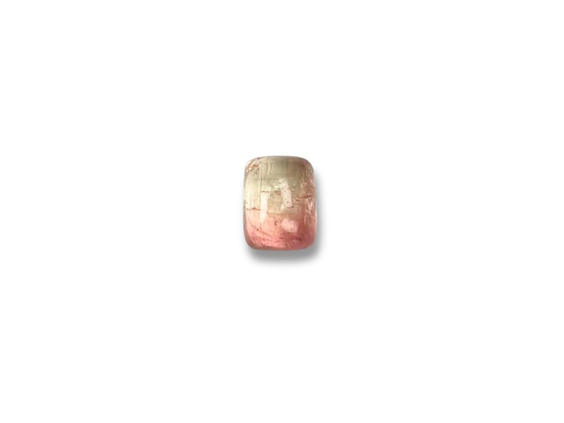 Bicolor tourmaline gemstone cabochon.  Smooth cut cabochon stone size 10.4 x 8.1 mm seen from the top.