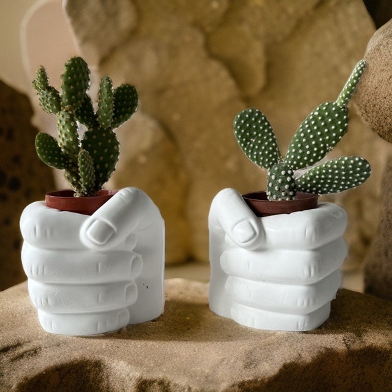 Tosnail Confezione da 3 vasi per piante grasse in ceramica con foro di drenaggio, a forma di ippopotamo per piante e fiori di cactus in porcellana, per piante