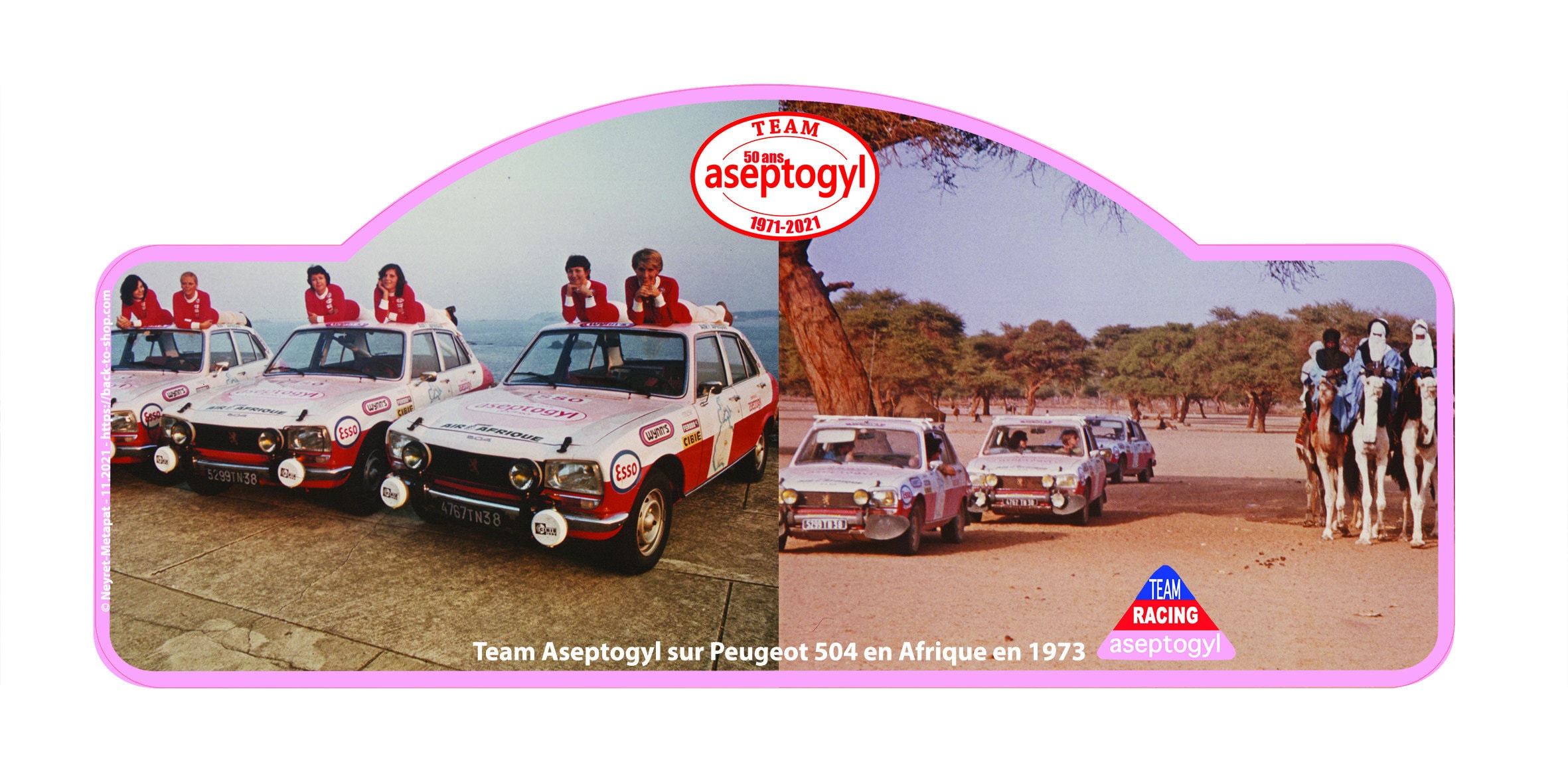 Plaque Rallye 50 Ans Aseptogyl - Peugeot 504 Afrique Exemplaires