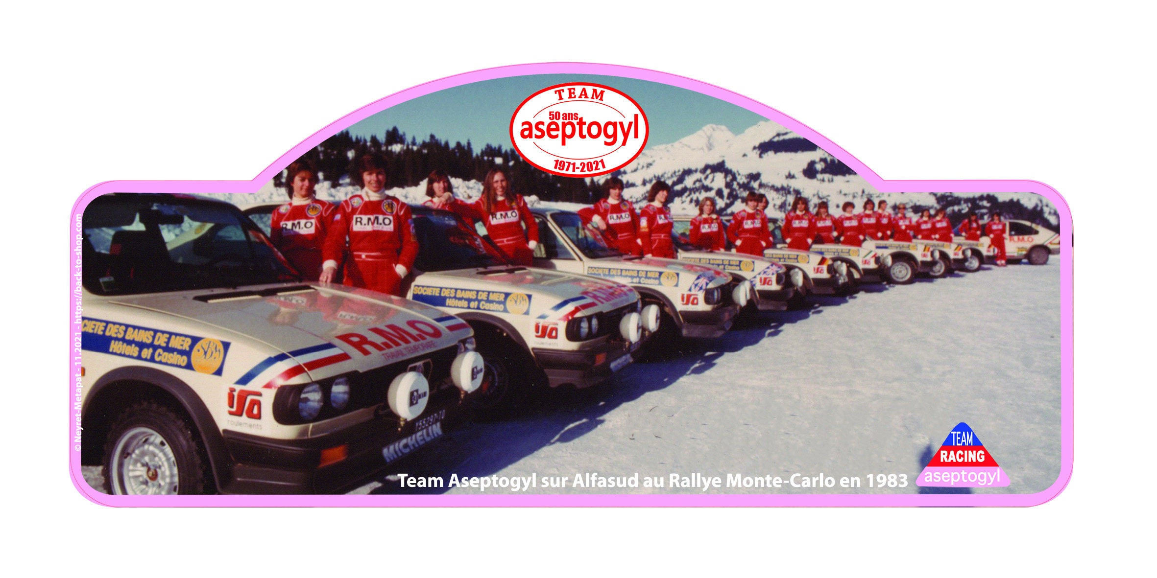 Plaque Rallye 50 Ans Aseptogyl - Alfa Romeo Alfasud- Team Monte-Carlo 1983 Exemplaires