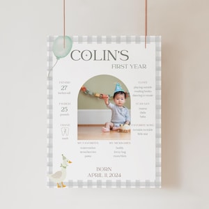 Tablero de hitos del primer año de Silly Goose, tema de cumpleaños de Silly Goose, letrero de primer cumpleaños, estilo vintage, tablero de primer año editable, verde